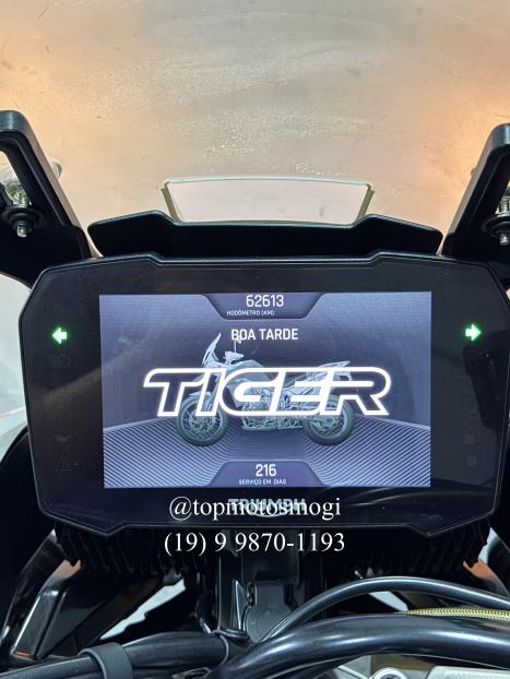 TRIUMPH Tiger 900 RALLY PR�, Foto 12
