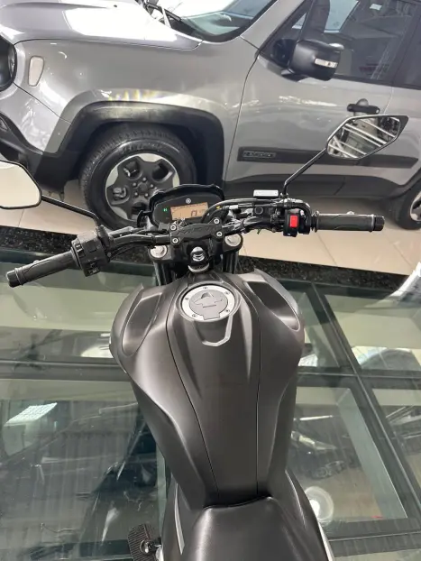 YAMAHA FZ 25 250 Fazer Flex , Foto 6