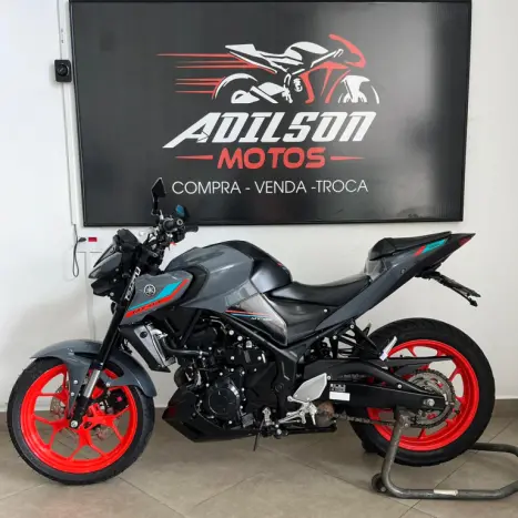 YAMAHA MT-03 300 ABS, Foto 6