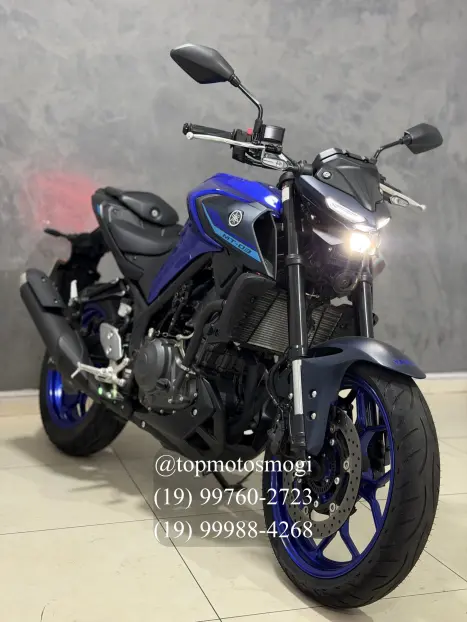 YAMAHA MT-03 300 ABS, Foto 2