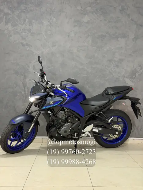YAMAHA MT-03 300 ABS, Foto 6