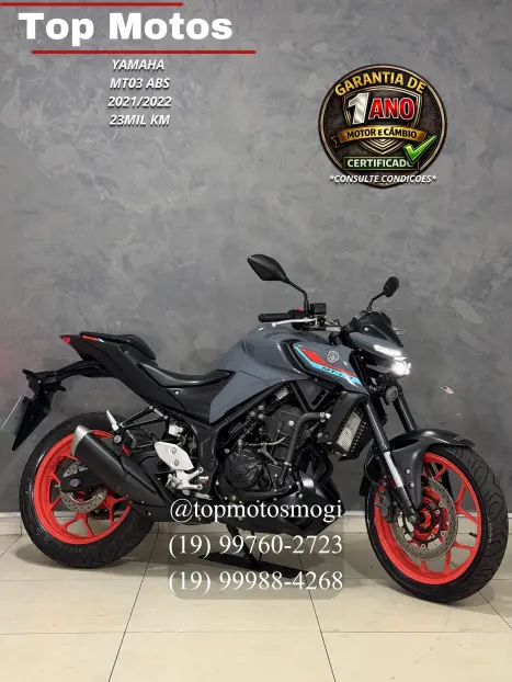 YAMAHA MT-03 300 ABS, Foto 1