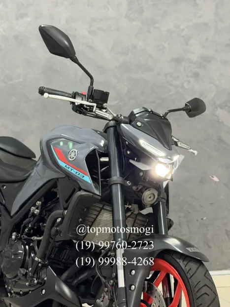 YAMAHA MT-03 300 ABS, Foto 2