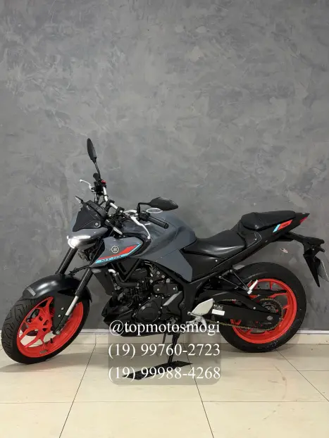 YAMAHA MT-03 300 ABS, Foto 6