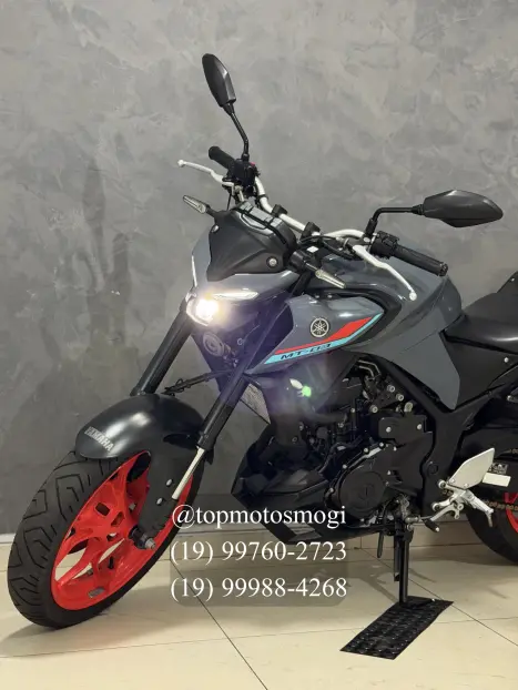 YAMAHA MT-03 300 ABS, Foto 7