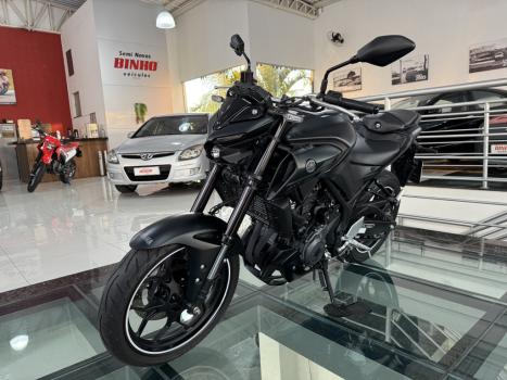 YAMAHA MT-03 300 ABS, Foto 2