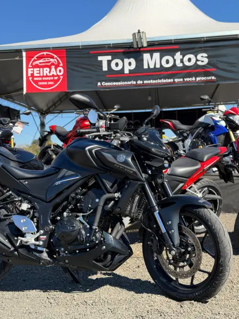 YAMAHA MT-03 300 ABS, Foto 2