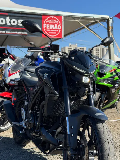 YAMAHA MT-03 300 ABS, Foto 6