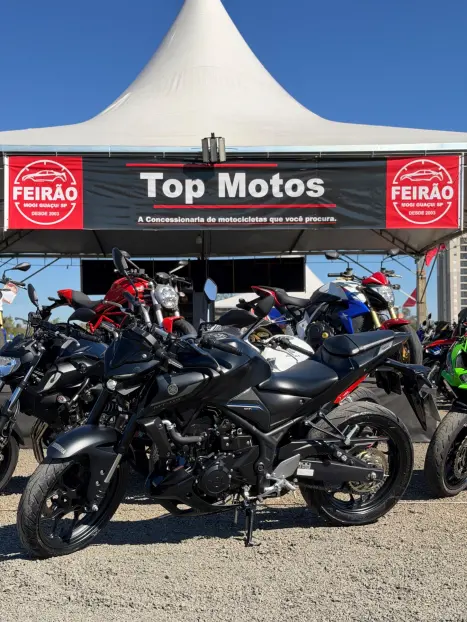 YAMAHA MT-03 300 ABS, Foto 7