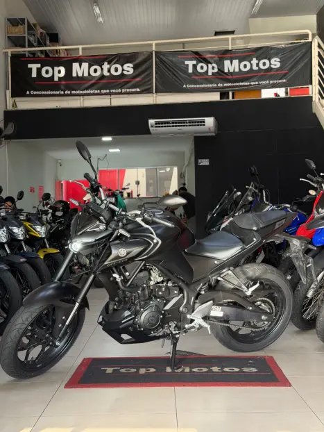 YAMAHA MT-03 300 ABS, Foto 7