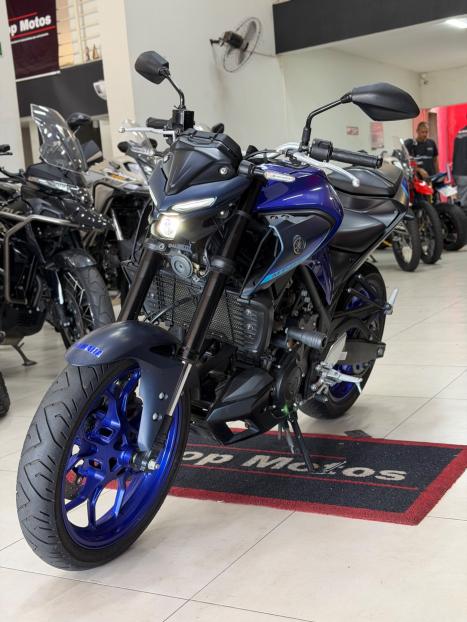 YAMAHA MT-03 300 ABS, Foto 6
