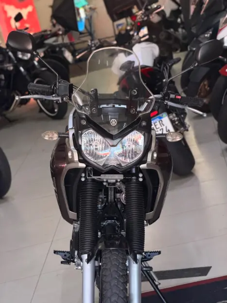 YAMAHA Tener� 250 XTZ, Foto 5