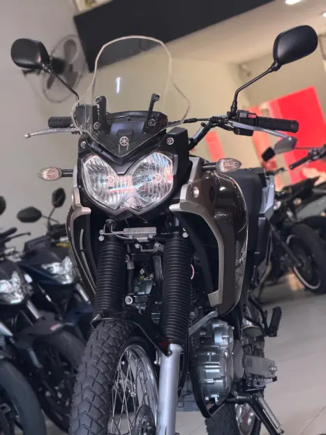 YAMAHA Tener� 250 XTZ, Foto 6
