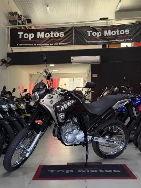 YAMAHA Tener� 250 XTZ, Foto 7