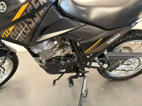 YAMAHA XTZ 150 Crosser Z, Foto 8