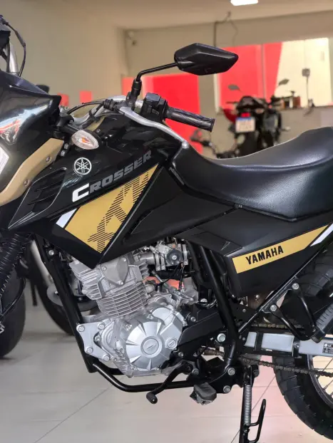YAMAHA XTZ 150 Crosser Z, Foto 9
