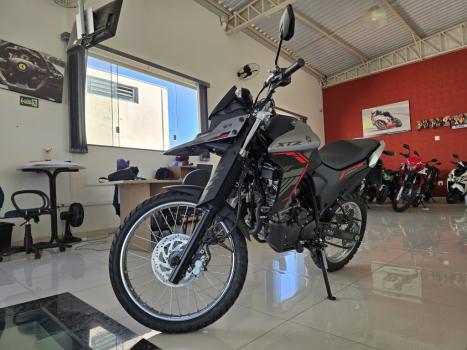 YAMAHA XTZ 250 LANDER, Foto 2