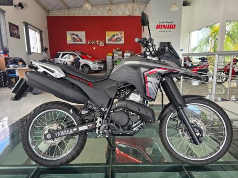 YAMAHA XTZ 250 LANDER, Foto 2