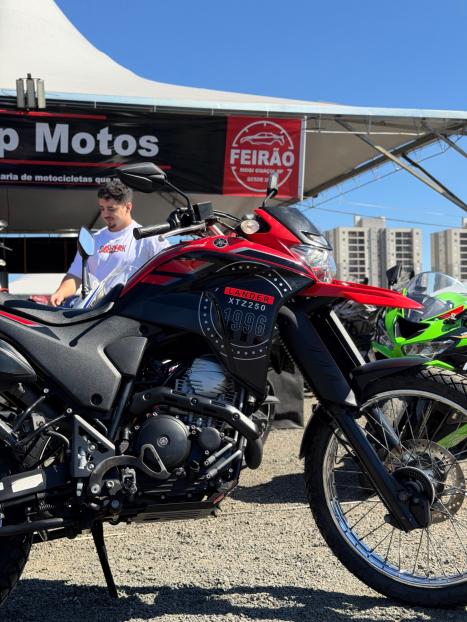 YAMAHA XTZ 250 LANDER, Foto 3