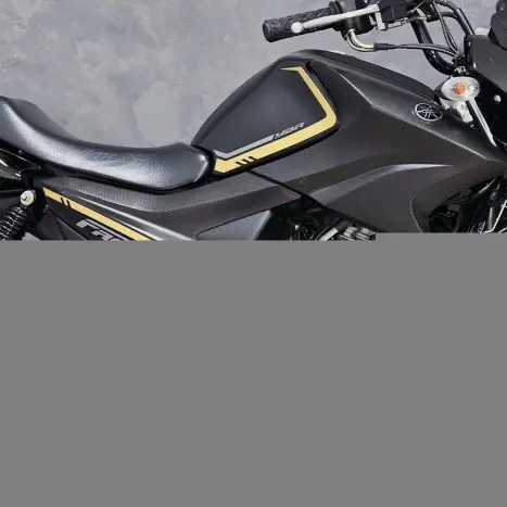 YAMAHA YBR 150 FACTOR ED, Foto 3