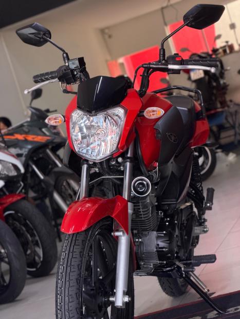 YAMAHA YBR 150 FACTOR ED FLEX, Foto 6