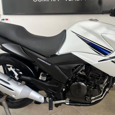 YAMAHA YS Fazer 250 BLUE FLEX, Foto 3