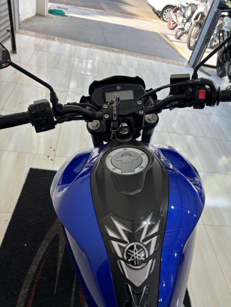 YAMAHA YS Fazer 250 BLUE FLEX, Foto 3