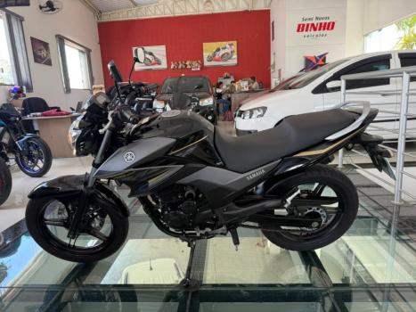 YAMAHA YS Fazer 250 BLUE FLEX, Foto 1