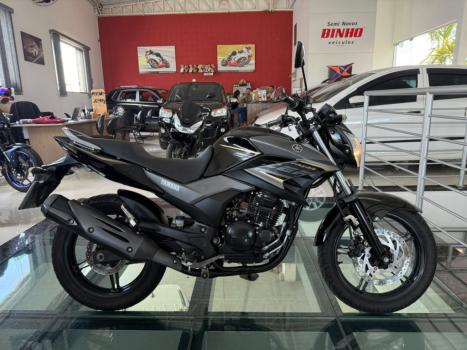 YAMAHA YS Fazer 250 BLUE FLEX, Foto 2