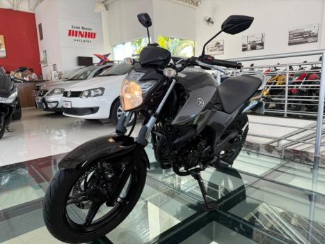 YAMAHA YS Fazer 250 BLUE FLEX, Foto 3