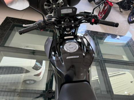 YAMAHA YS Fazer 250 BLUE FLEX, Foto 5