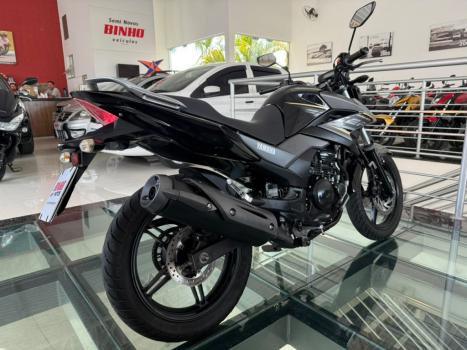 YAMAHA YS Fazer 250 BLUE FLEX, Foto 6