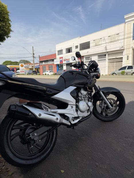 YAMAHA YS Fazer 250 BLUE FLEX, Foto 2