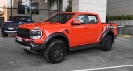 FORD Ranger 3.0 V6 24V CABINE DUPLA RAPTOR 4X4 AUTOMTICO, Foto 4