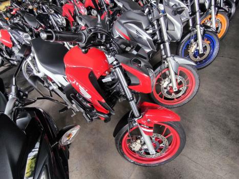 HONDA CB 250 F Twister FLEXONE, Foto 2