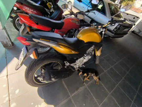 HONDA CB 300 R STD, Foto 5