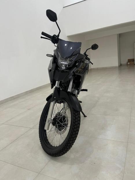 HONDA XRE 300 ABS, Foto 2