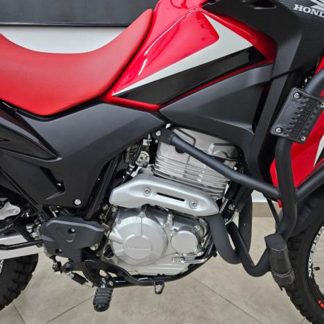 HONDA XRE 300 RALLY ABS, Foto 3