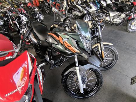 HONDA XRE 300 RALLY ABS, Foto 2
