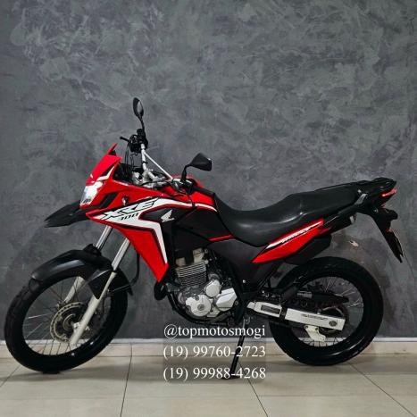 HONDA XRE 300 RALLY ABS, Foto 6