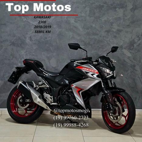 KAWASAKI Z 300 ABS, Foto 1