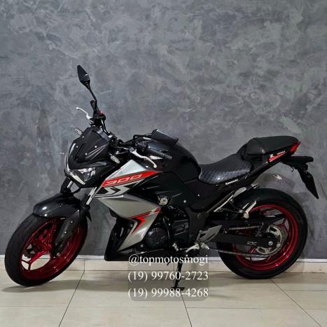 KAWASAKI Z 300 ABS, Foto 6
