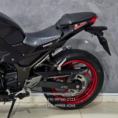 KAWASAKI Z 300 ABS, Foto 9