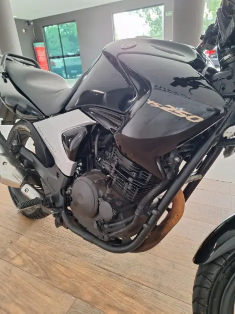 YAMAHA FZ 25 250 Fazer Flex , Foto 2