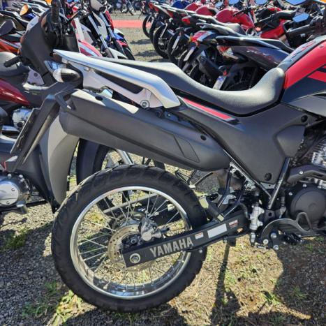 YAMAHA Lander 250 , Foto 4