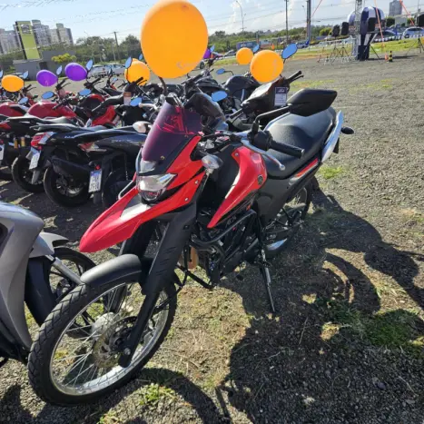 YAMAHA Lander 250 , Foto 8