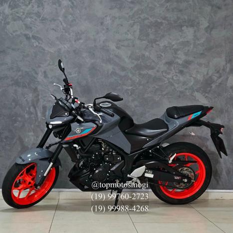 YAMAHA MT-03 300 ABS, Foto 5