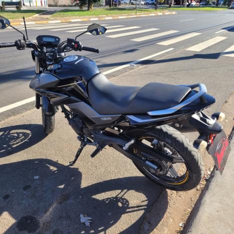 YAMAHA YS Fazer 250 LIMITED EDITION, Foto 5