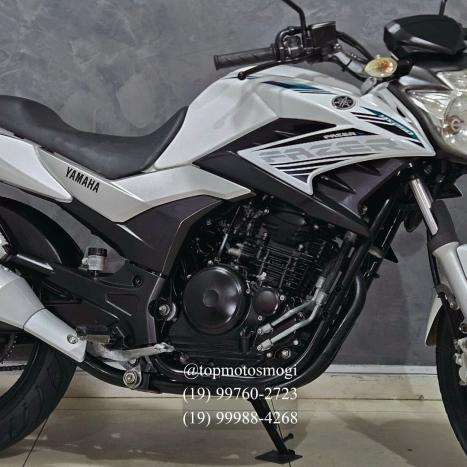 YAMAHA YS Fazer 250 BLUE FLEX, Foto 3