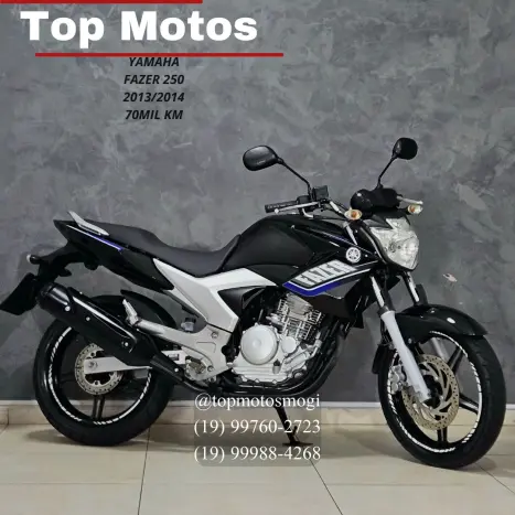YAMAHA YS Fazer 250 , Foto 1